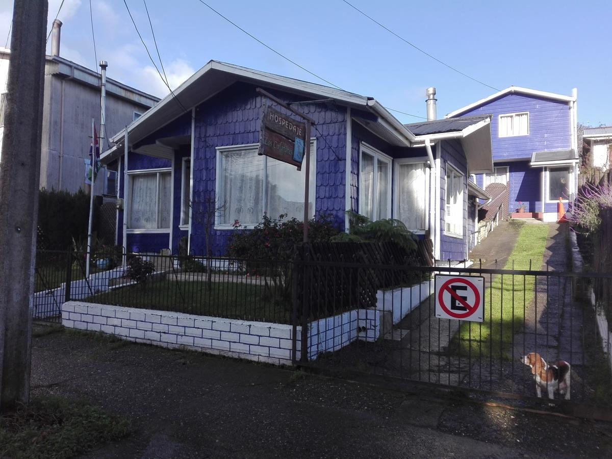 Hospedaje Los Calafates Ancud Exteriör bild